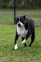 SNIFF & GREET_MAK6965