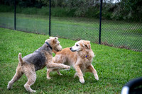 SNIFF & GREET_MAK6997