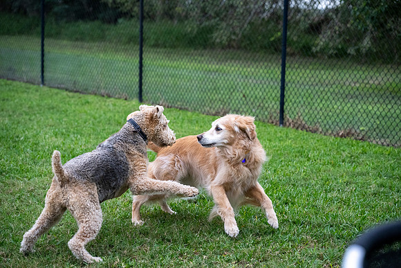 SNIFF & GREET_MAK6997