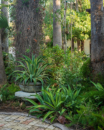 Quinta Mazatlan EYS_0401