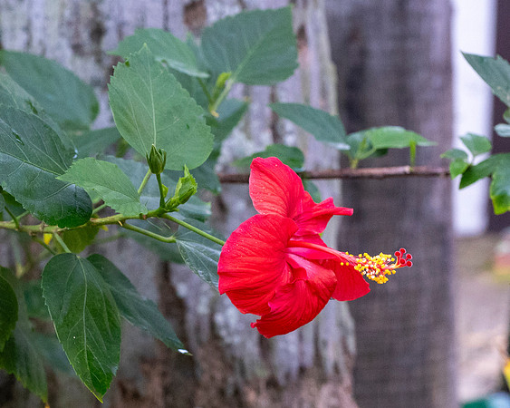 Quinta Mazatlan EYS_0408