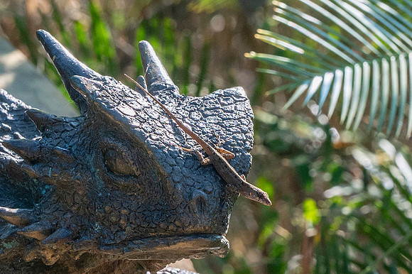 Quinta Mazatlan EYS_0429