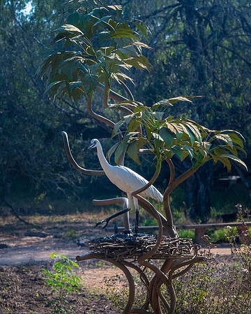 Quinta Mazatlan EYS_0447