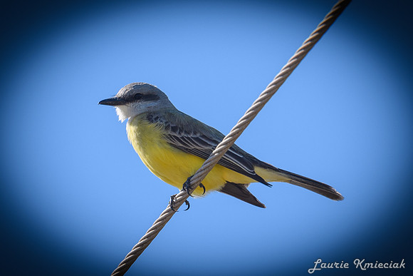 Quinta-Mazatlan-LAK_3221