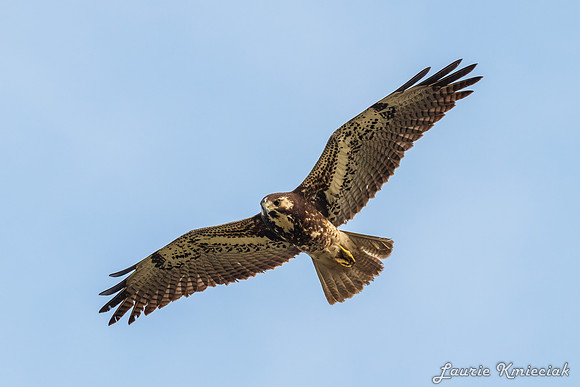 lak-DSC_0770