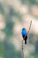 Colorado-MAK_0247