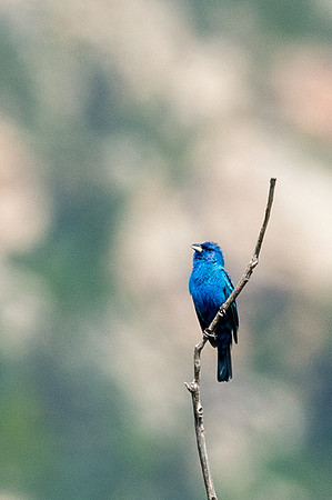 Colorado-MAK_0247