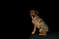 JaimeJoyner-Joiner-00241