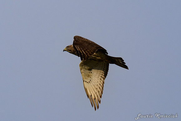 lak-DSC_1759