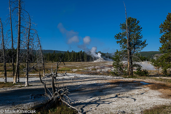 Yellowstone NP-_MAK1576