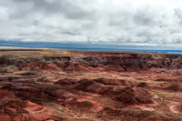 Petrified Forest-MAK_5994-HDR