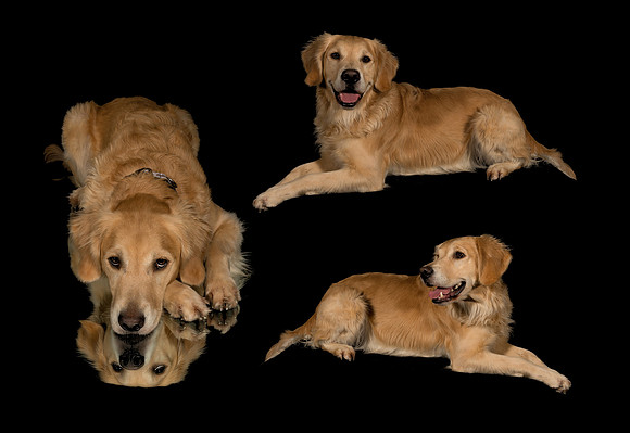 print-Kils 3-Edit
