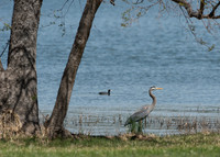 Inks-Lake-MAK_3633
