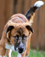 We were playing around in the back yard with a new lens