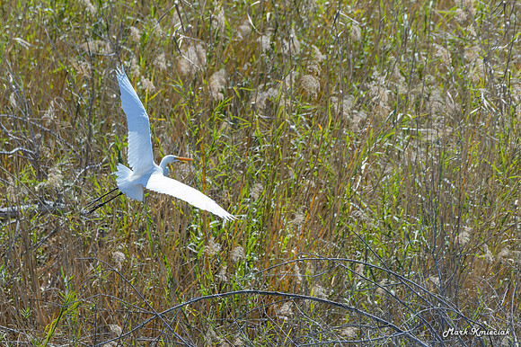 Edenburg Wetlands-MAK_3820