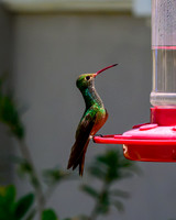lak-August-DSC_2187