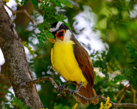 lak-August-DSC_2171