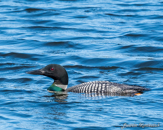 UP-MichiganLAK_7621