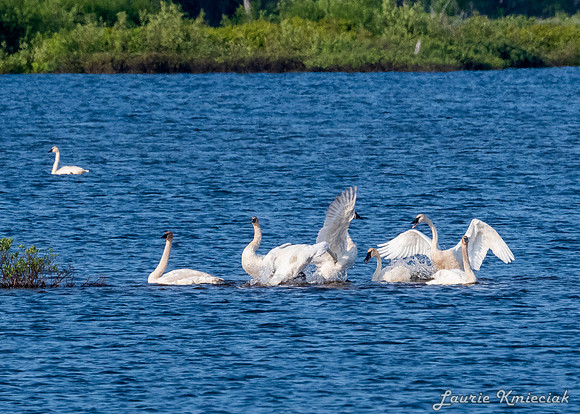 UP-MichiganLAK_7469