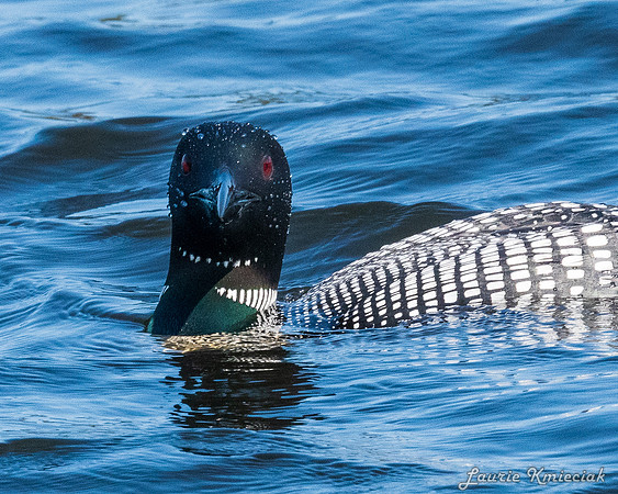 UP-MichiganLAK_7629-2