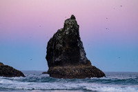 Cannon Beach-_MAK6440