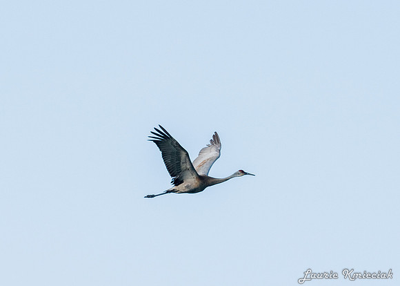 EggHarborWI-LAK_7138