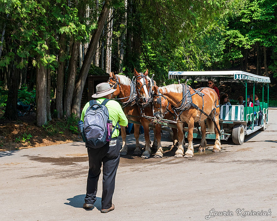Mackinac-LAK_8170