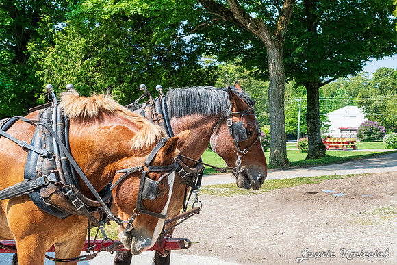 Mackinac-LAK_8154