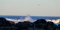 Cannon Beach-_MAK6539
