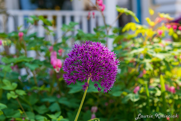 Mackinac-LAK_8180