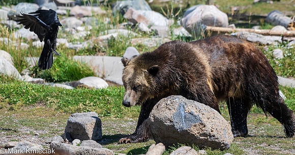 West Yellowstone-_MAK1178