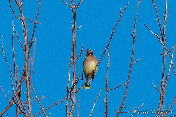 EggHarborWI-LAK_7181