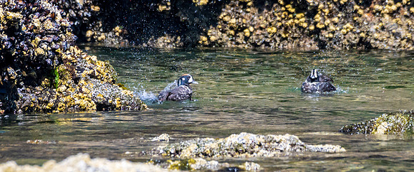 Cannon Beach-_MAK6021