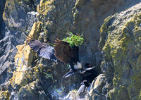 Cannon Beach-_MAK6355