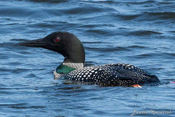 UP-MichiganLAK_7648-2