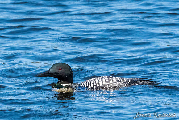 UP-MichiganLAK_7634