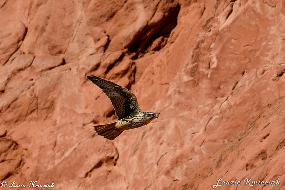 colorado-LAK_1642