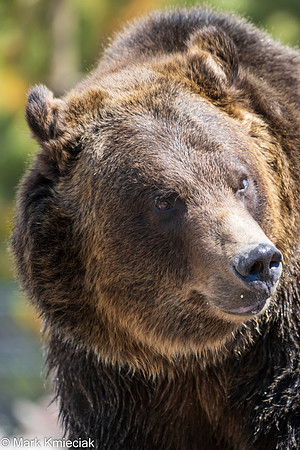 West Yellowstone-_MAK1142