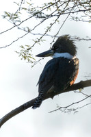 Edenburg Wetlands-MAK_3877
