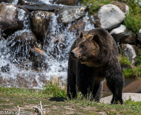 West Yellowstone-_MAK1230