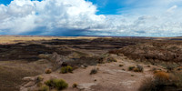Petrified Forest-MAK_6236-Pano