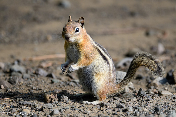colorado-LAK_1757