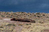 Petrified Forest-MAK_6232