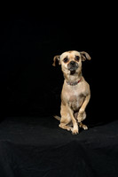 JaimeJoyner-Joiner-00351