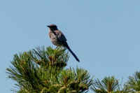 Colorado-MAK_0176