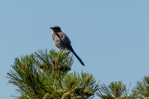 Colorado-MAK_0176