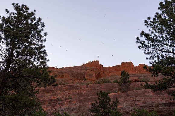 Colorado-MAK_9500