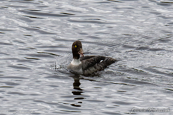 untitledLAK_0991-Enhanced-NR