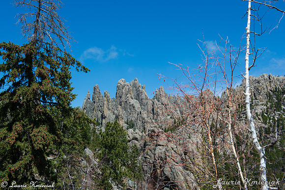 Black-Hills-MAK_8312