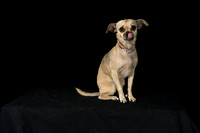 JaimeJoyner-Joiner-00461